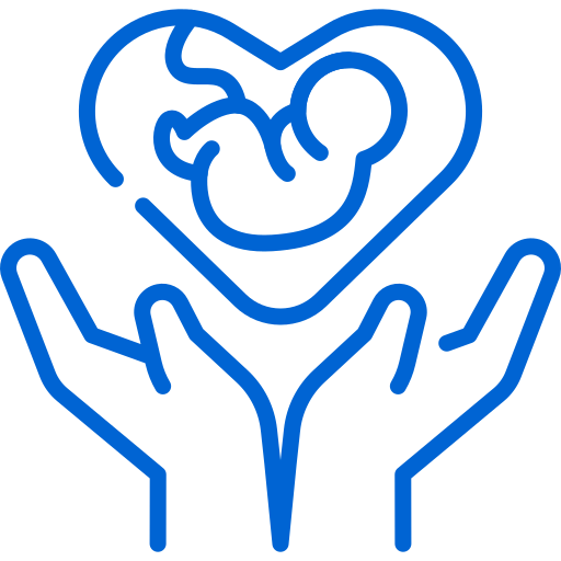 Maternity Care and Services